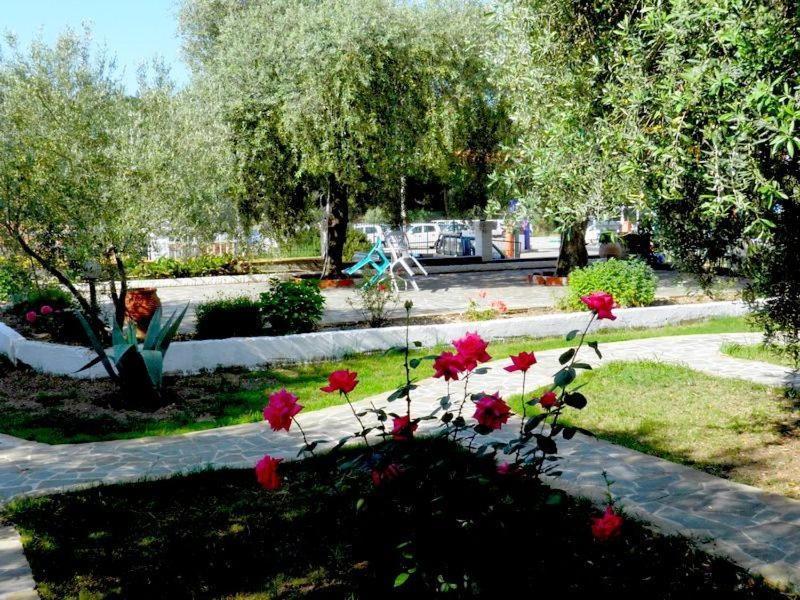 Asterias Studios Asztrída Kültér fotó